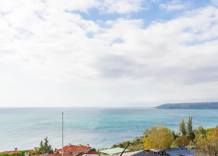 Appartement Design Lux Dreaming In Bamboo Garden ,no Shoes Allowed Inside