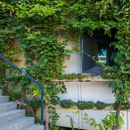 Apartment Bamboo Garden 