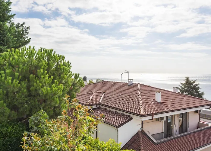 Apartment Design Lux Dreaming In Bamboo Garden ,no Shoes Allowed Inside Varna