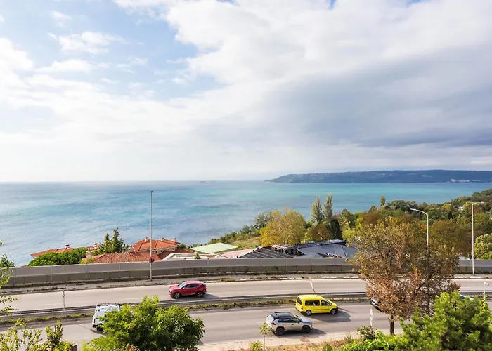 Apartment Design Lux Dreaming In Bamboo Garden ,no Shoes Allowed Inside *